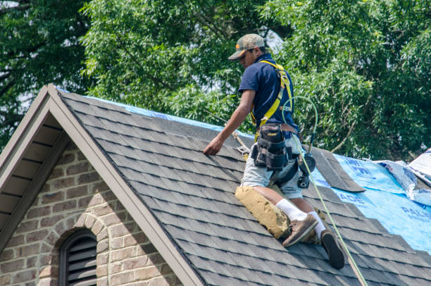 Best Gutter Installation and Roofing  in Lake Forest, CA